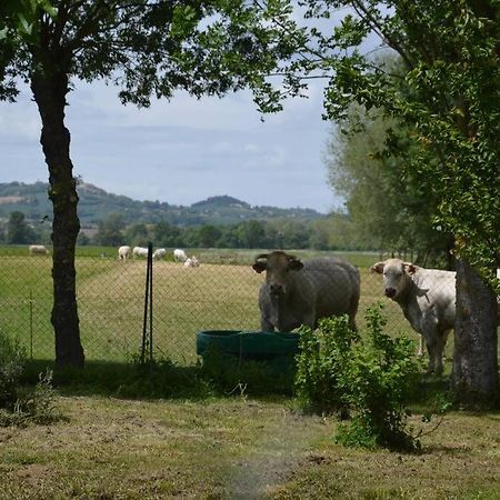 Gite A La Ferme De La Bouriette Revel  Kültér fotó
