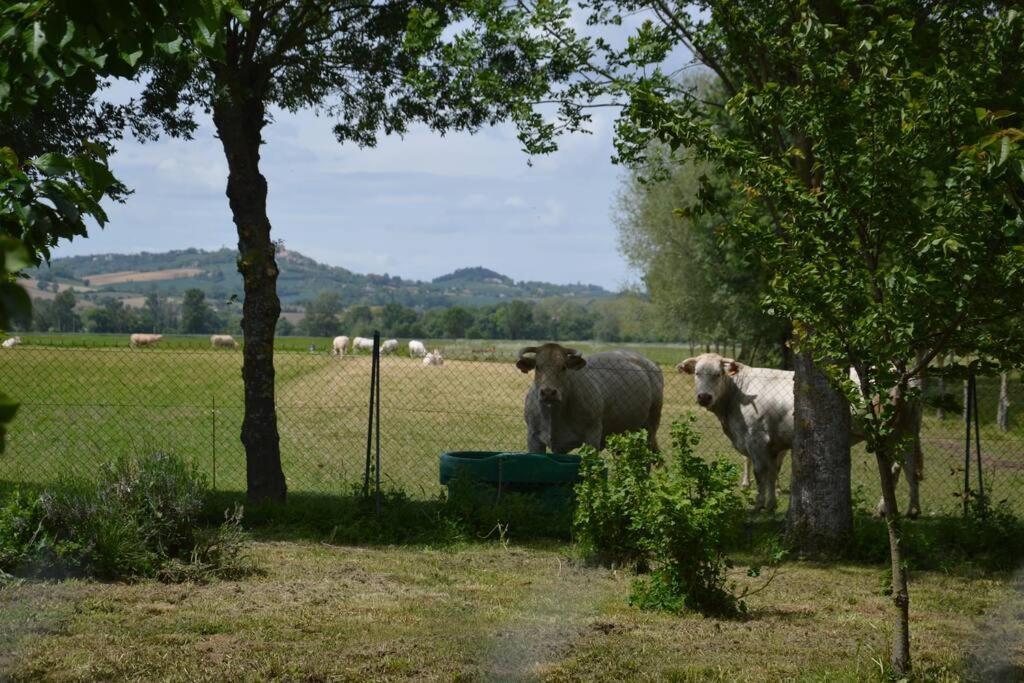 Gite A La Ferme De La Bouriette Revel  Kültér fotó